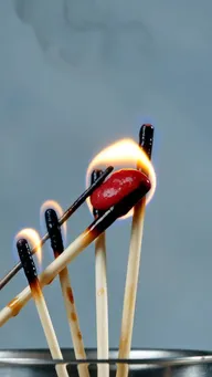Still frame of the macro clip